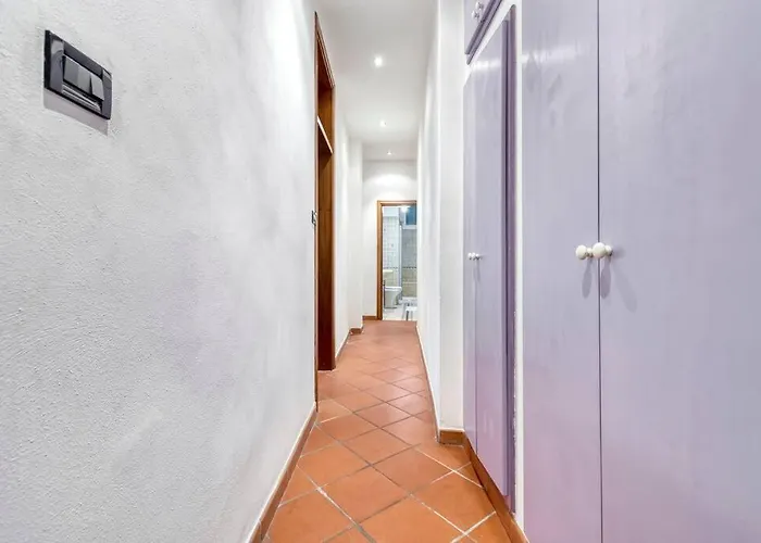 Fine Arts - Tv 40' Hd Netflix Prime Dazn *